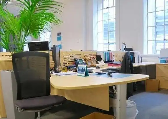 女性办公桌上摆放风水女性办公桌适合摆放什么