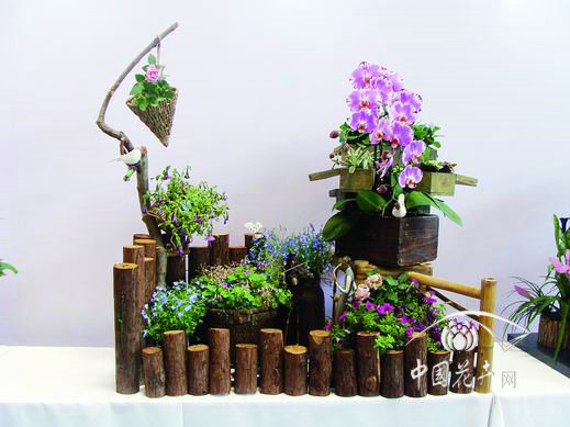 国际花展组合盆栽欣赏