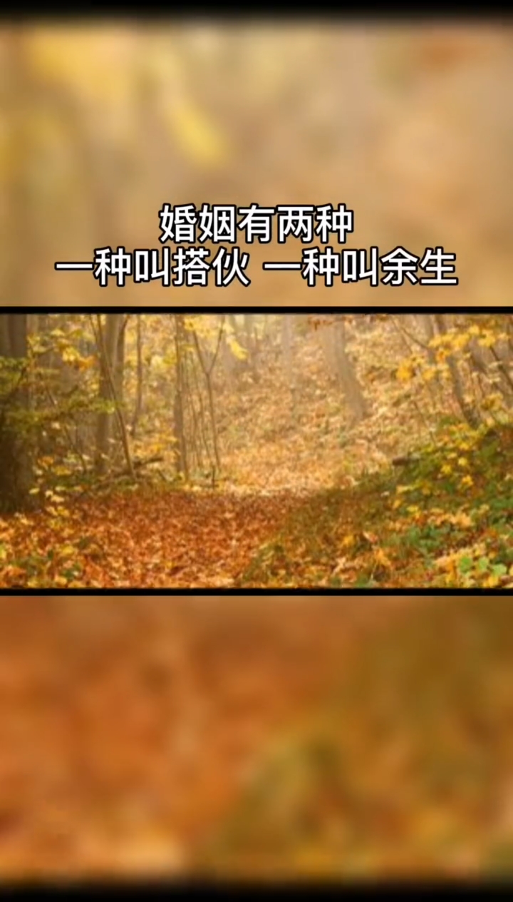 婚姻有两种,一种叫搭伙,一种叫余生-度小视