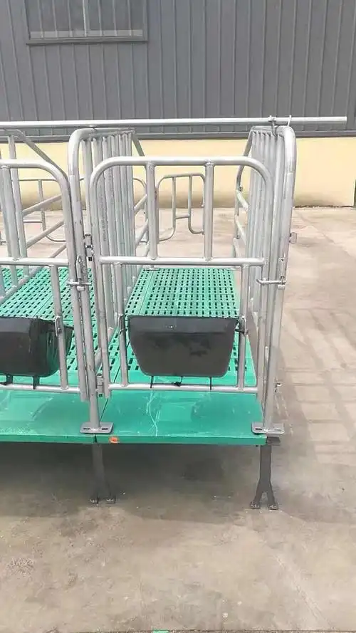 母猪定位栏猪用限位栏新型养猪设备猪用设备