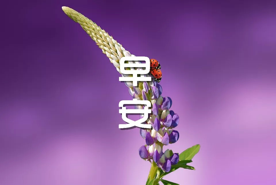 早安唯美文字精选浪漫的早安图片带字