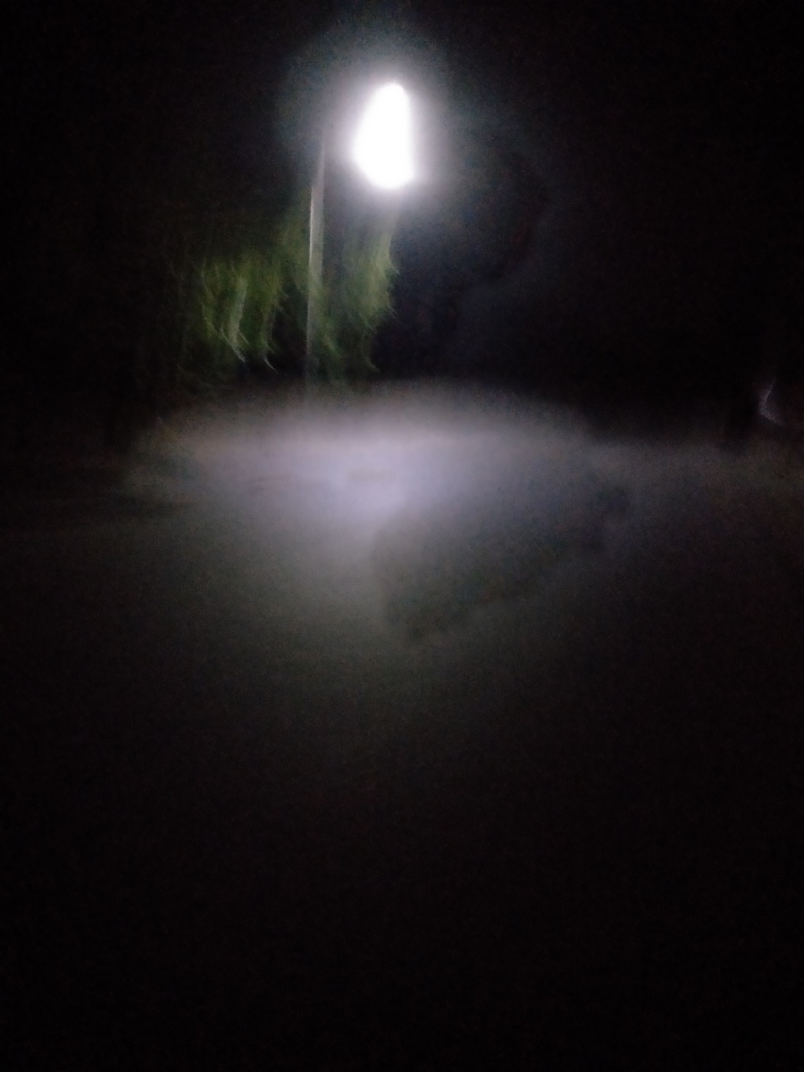 昨晚天黑一个人在大街上流落