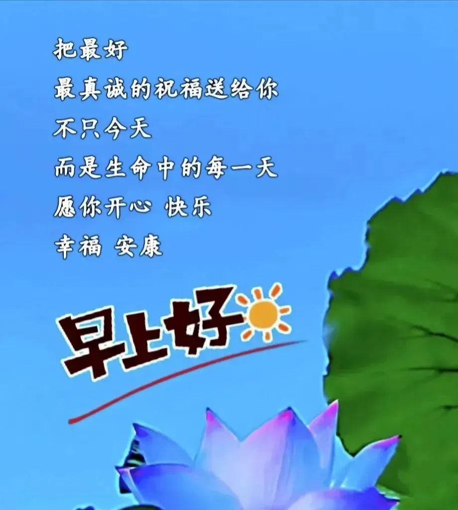 原创9张非常好看的早安问候图带祝福语6月温馨的早上好祝福短语精选