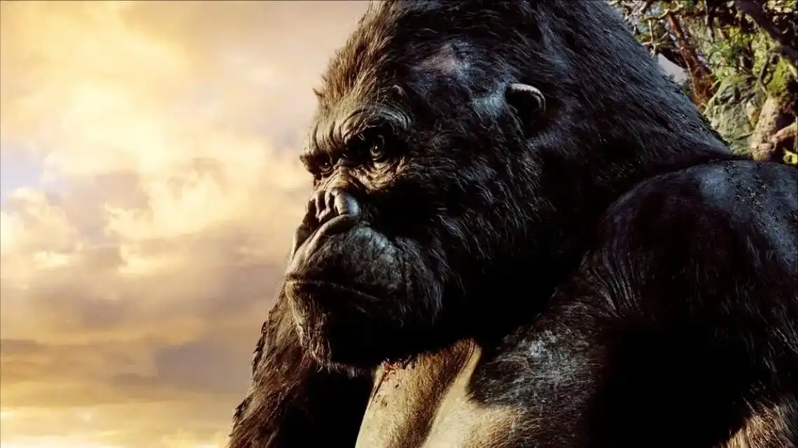 2005年的金刚是我最爱的电影之一 - 抖音