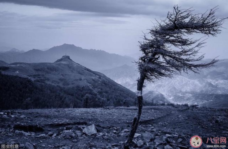 外面刮大风的朋友圈说说 外面刮大风的朋友圈句子