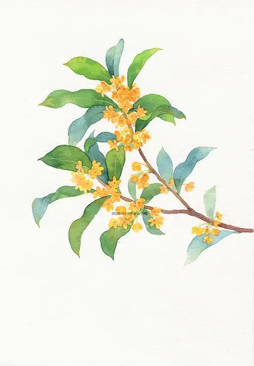 2020,顺顺利利,开开心心