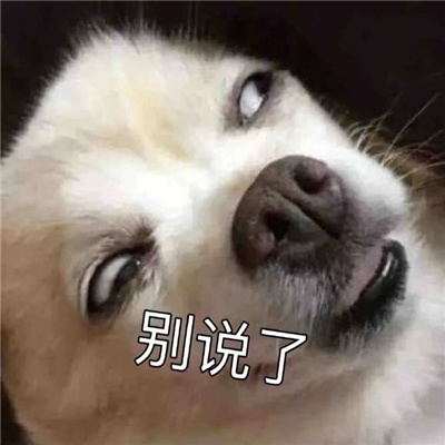 能一秒把人逗笑的表情 逗人开心的表情合集 - 运河边百科网