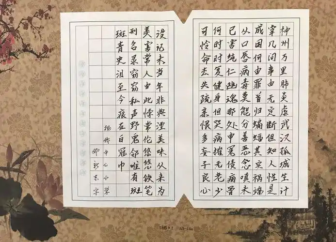 杨侨镇2020年小学教师硬笔书法比赛