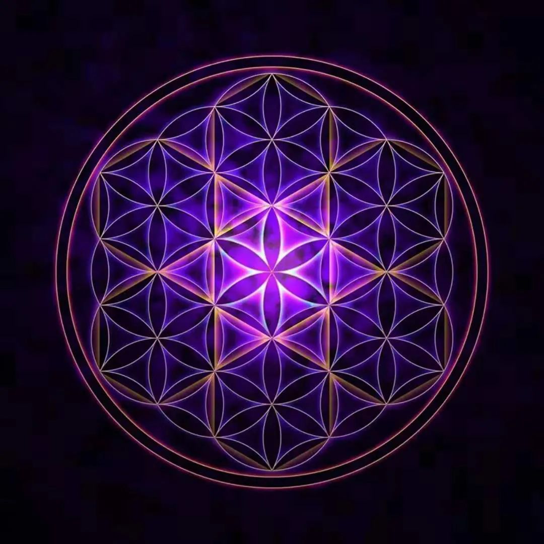 生命之花高清图可打印