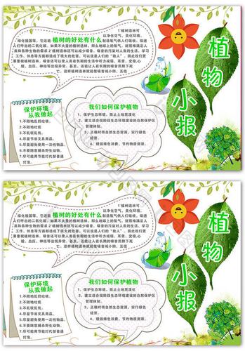 关于植物生长知识的手抄报 安全知识的手抄报