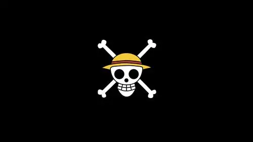 ad49-one-piece-logo-art