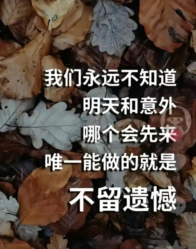 短暂的是人生,脆弱的是生命,好好珍惜现在的每一天,用心对待现 - 抖音