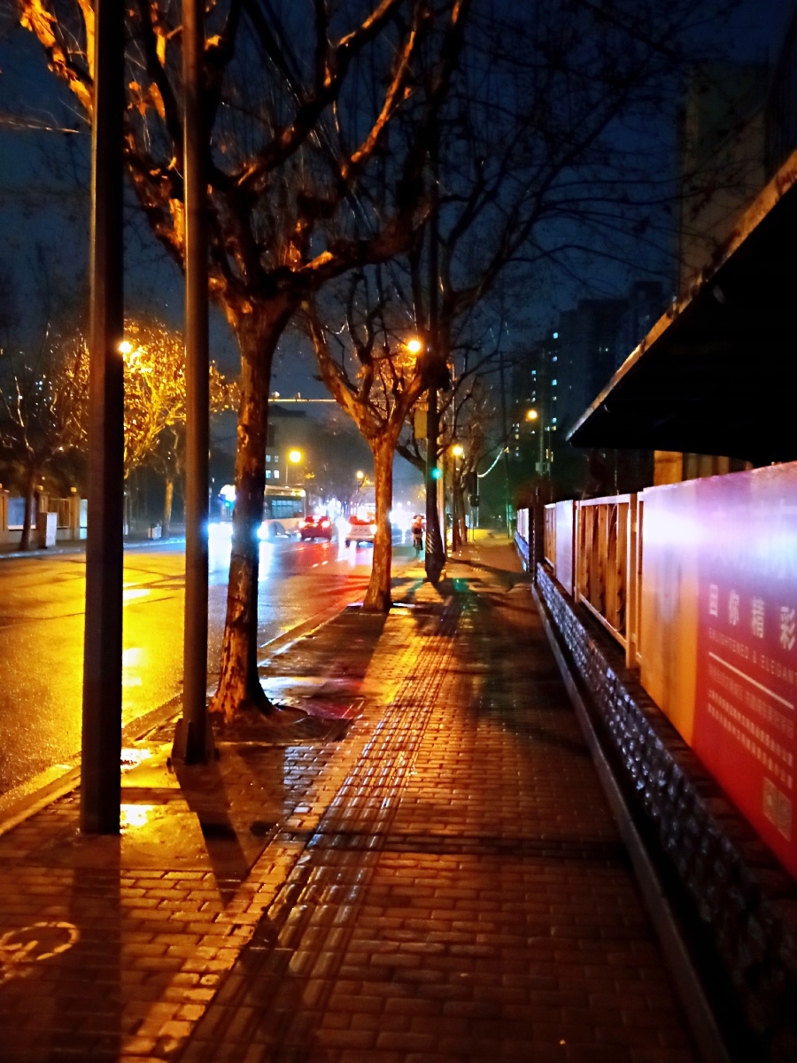 上海夜晚雨后的街道
