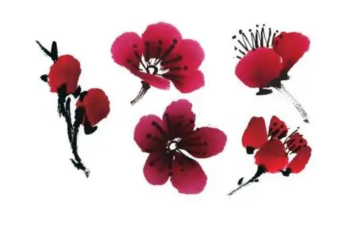 国画梅花的画法简笔画步骤 梅花图片国画简笔画简单