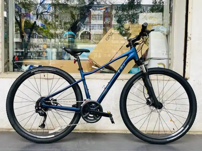 2022livroved2国内很少有的车型