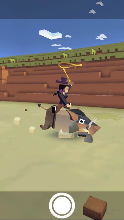 疯狂动物园全动物图鉴攻略 全动物特写图片_野猪类乘骑特写 :: 游民