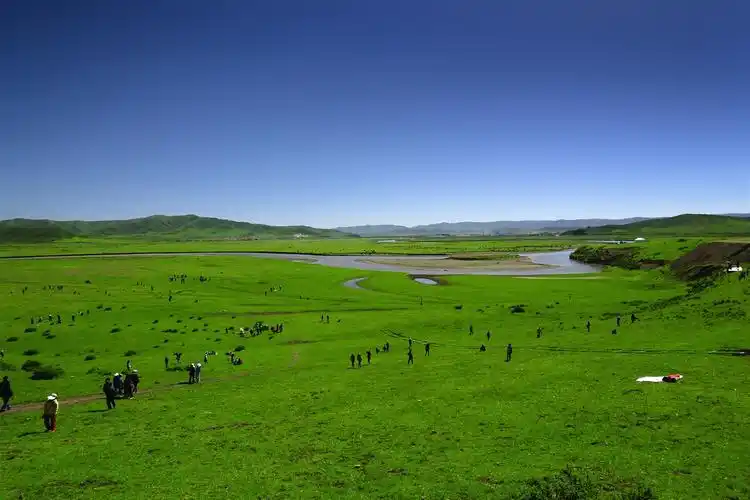 千眼万语游草原——端午若尔盖红原行图片183,四川省旅游景点,风景