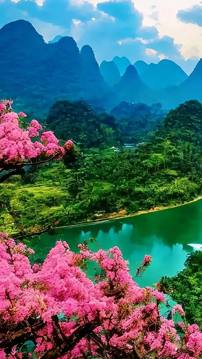 苍松翠柏,真乃人间仙境.#抖音图文 - 抖音