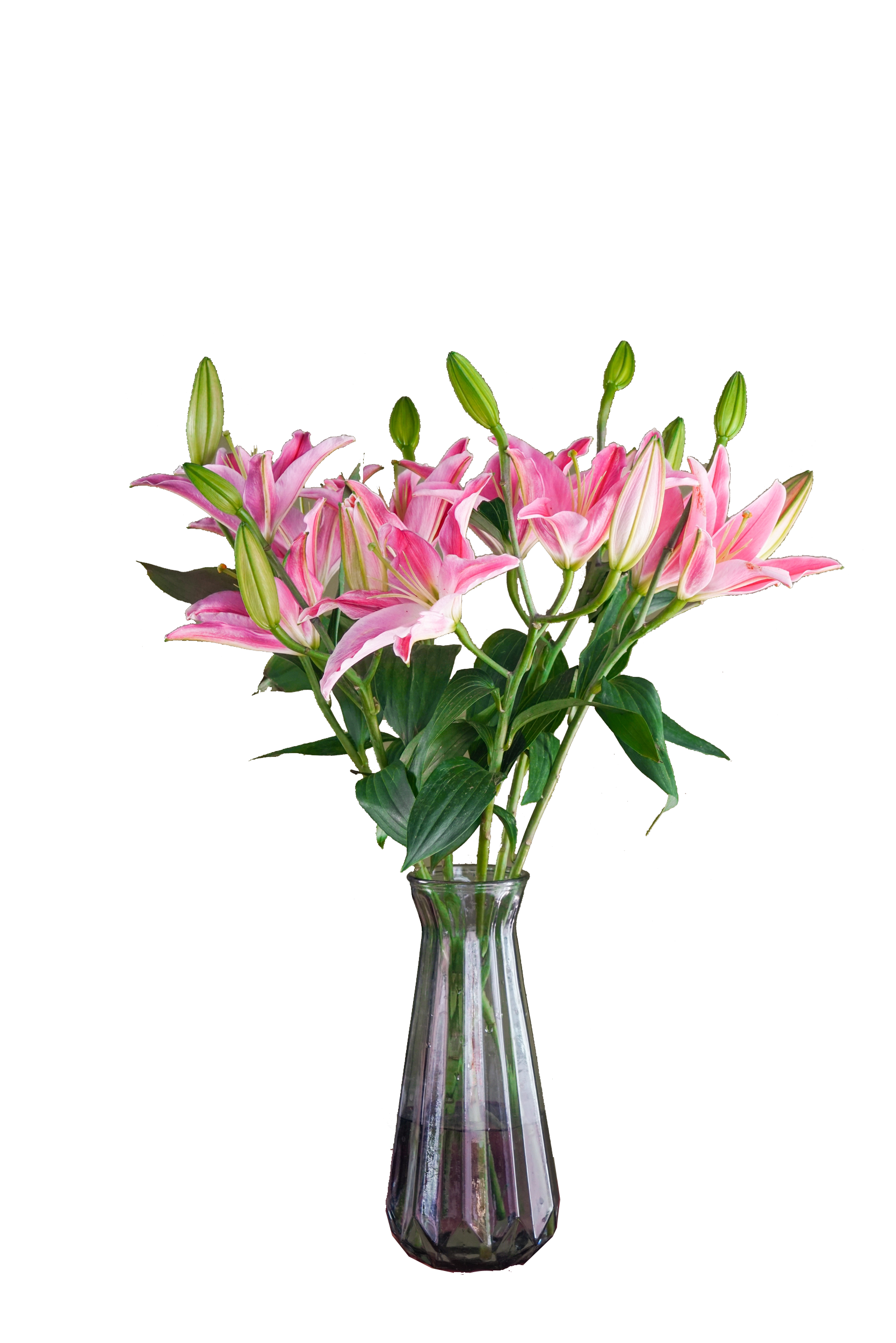 多头百合花白色粉色红色黄色桌花插花鲜花同城鲜花速递同城