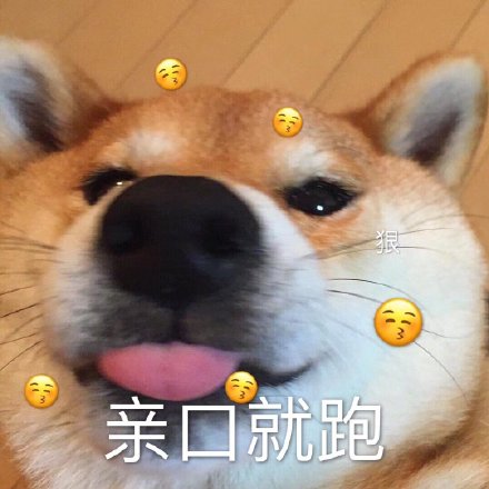 萌宠汪星人亲口就跑亲亲搞怪逗gif动图_动态图_表情包下载_soogif