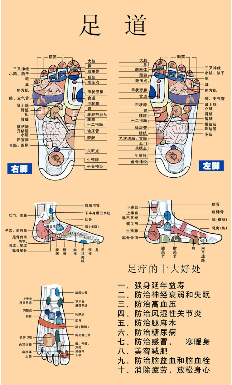 薄膜海报印制展板喷绘写真足道足疗穴位位图塑料薄膜