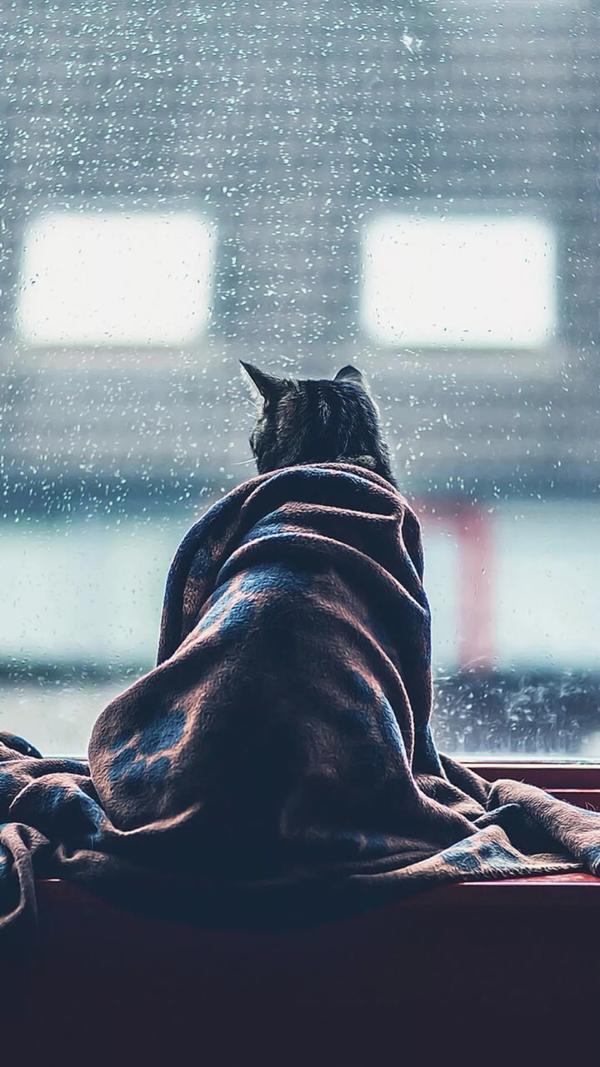 丧丧的壁纸黑暗系的认识一下