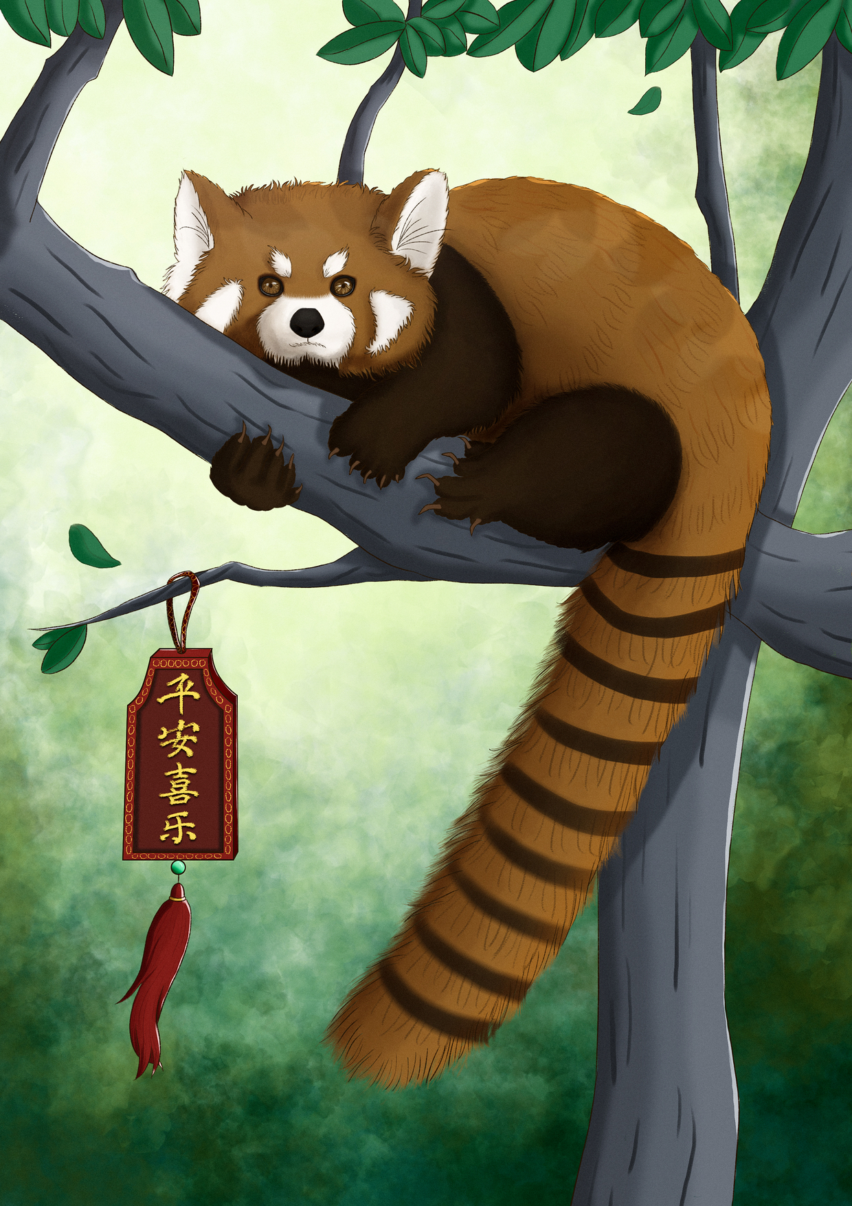 小熊猫求关注求保护