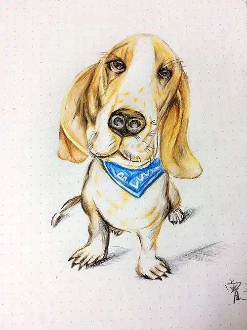 简单手绘小动物