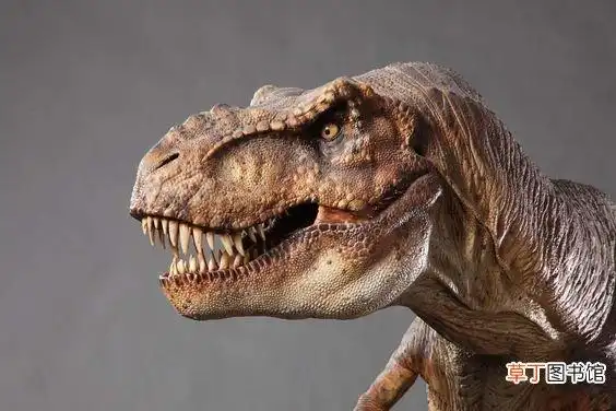 霸王龙的食性和实力 霸王龙是食肉还是食草