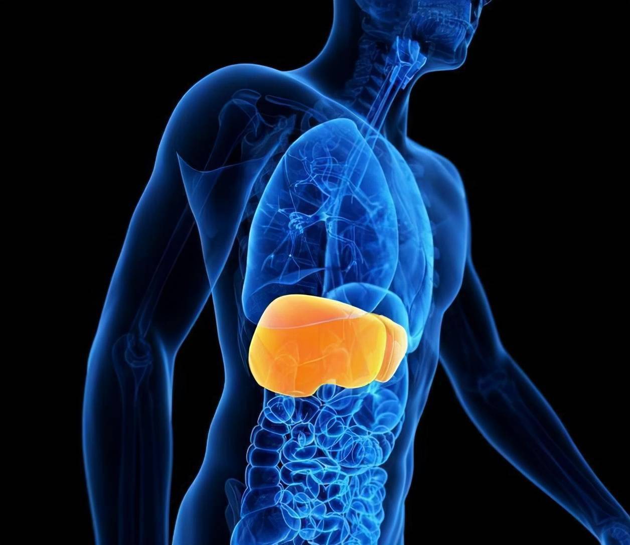 肝不好的人,通常有这4个"特征",若一个没有,或说明肝很健康_肝脏