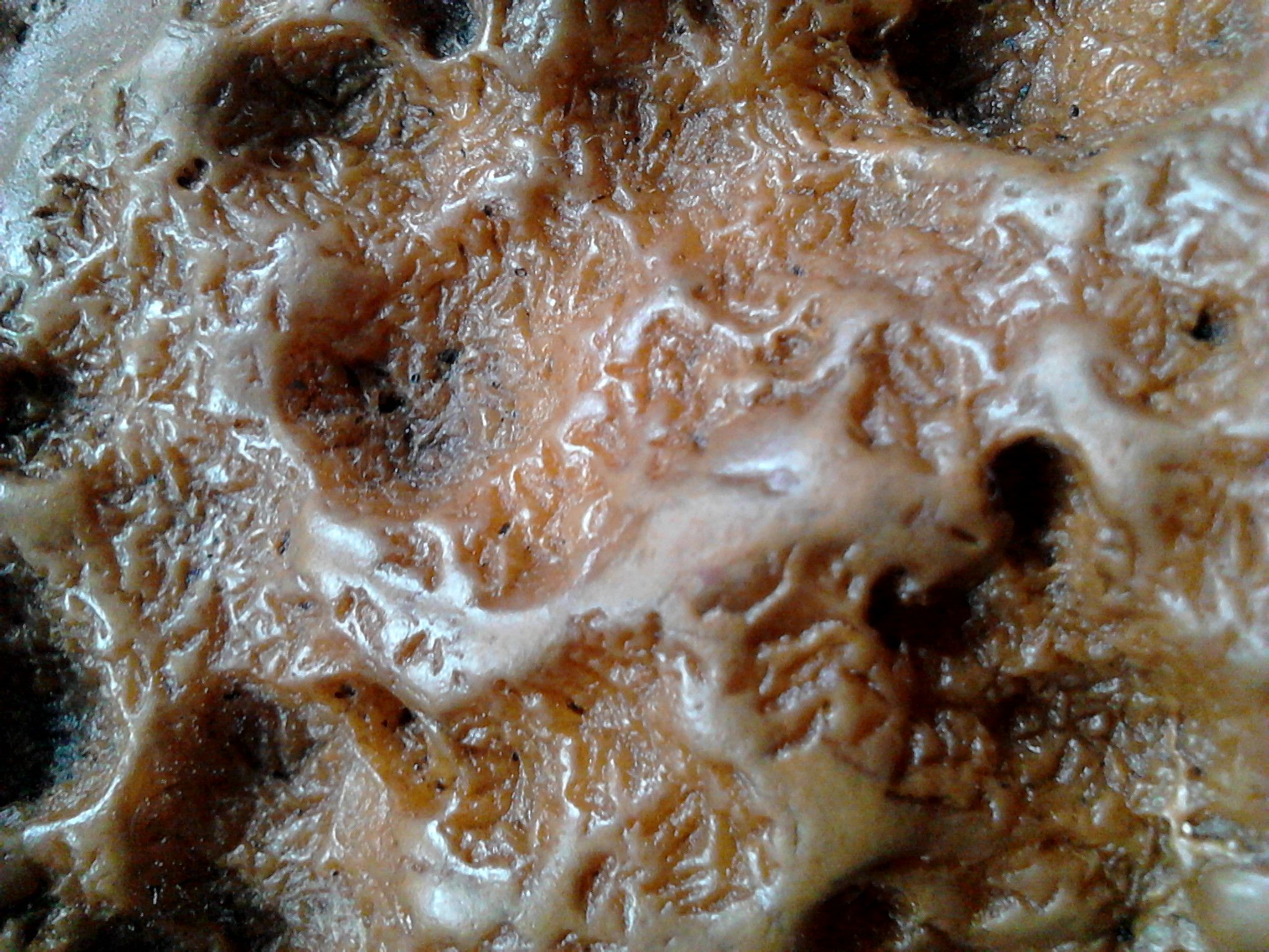 哪位高手帮忙评个价,河里货