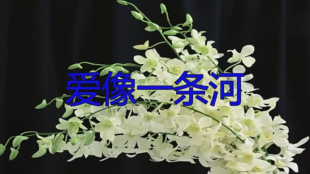 简直不要太好听!王爱华一首《爱像一条河》,好听哭了