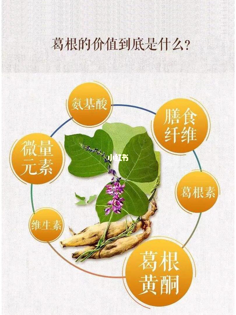 葛根的价值到底是什么71来看看功效吧75
