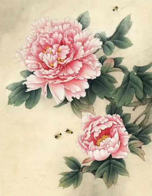 染色步骤 ➕ 白描图纸【国画牡丹花】7⃣️