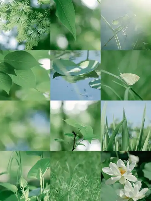 调色|夏日限定清凉感青绿