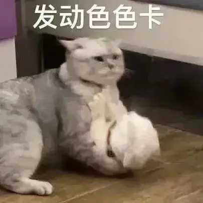 污污的表情包:脑子里净装这个了!