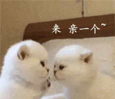 炫酷势力登场 - 斗图表情包 - 斗图神器 - adoutu.com