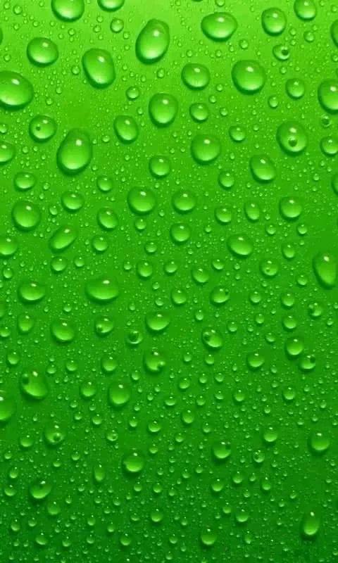 高清微信护眼图当聊天背景图吧