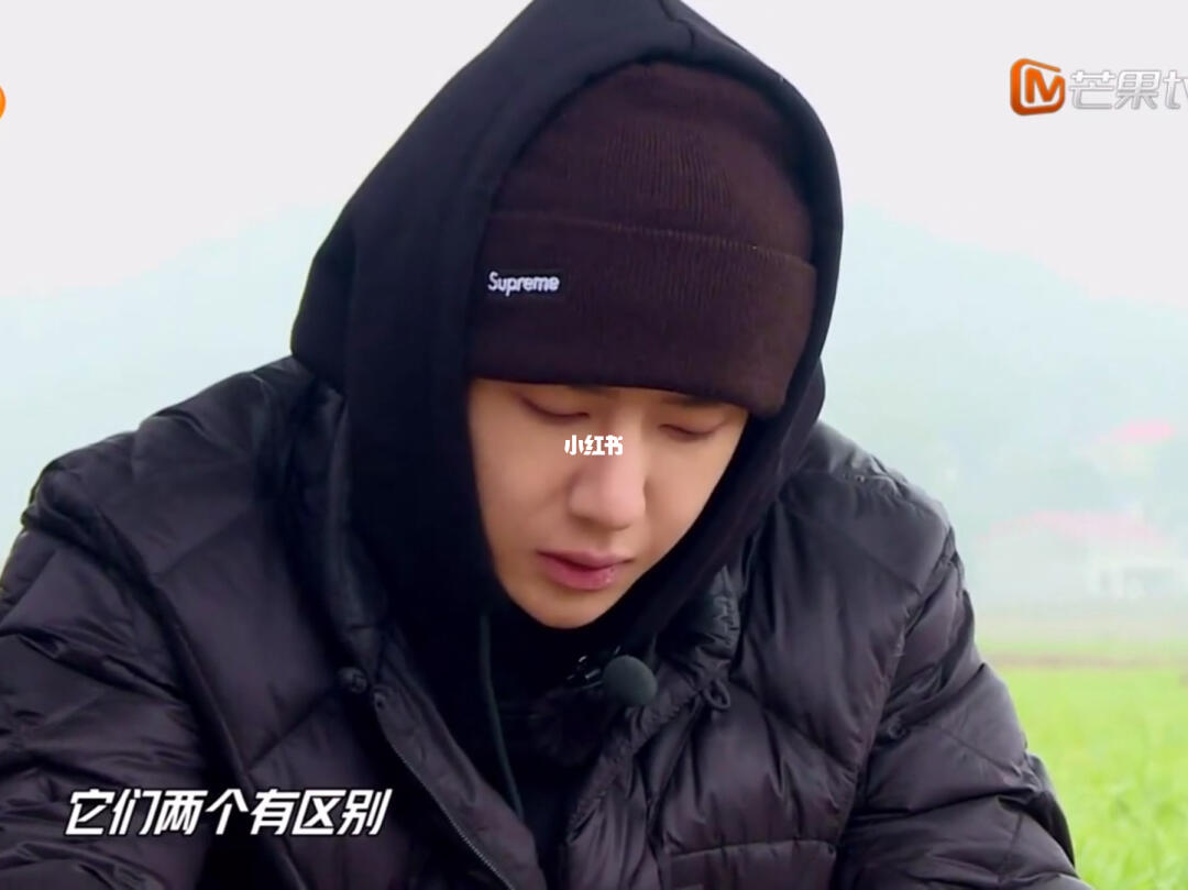 唠嗑王大爷上线_王一博_娱乐_综艺片段