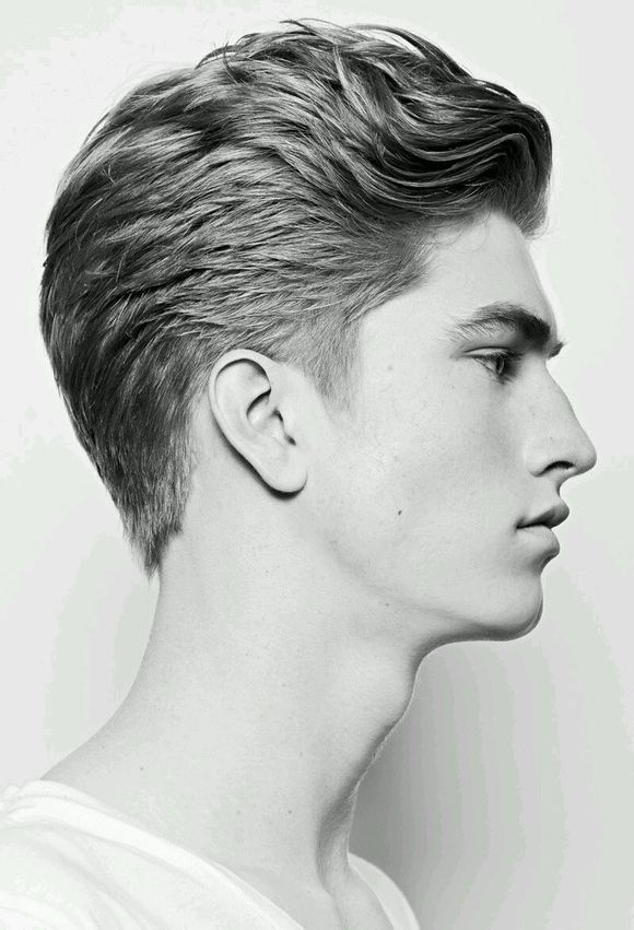 堆糖,美好生活研究所