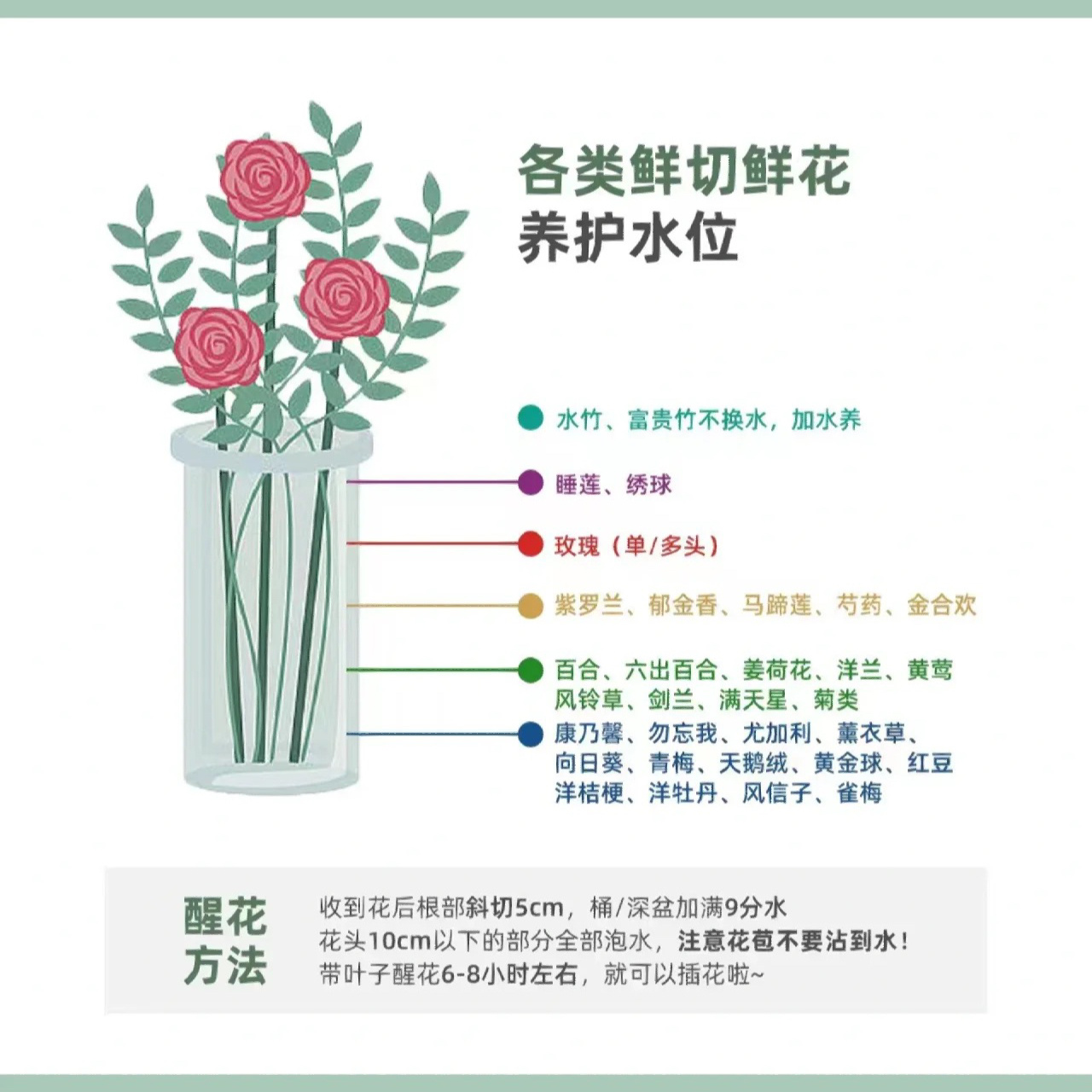 网购鲜花怎么醒花,详细教程来啦 醒花做好了,能多养一周哟,自然,来