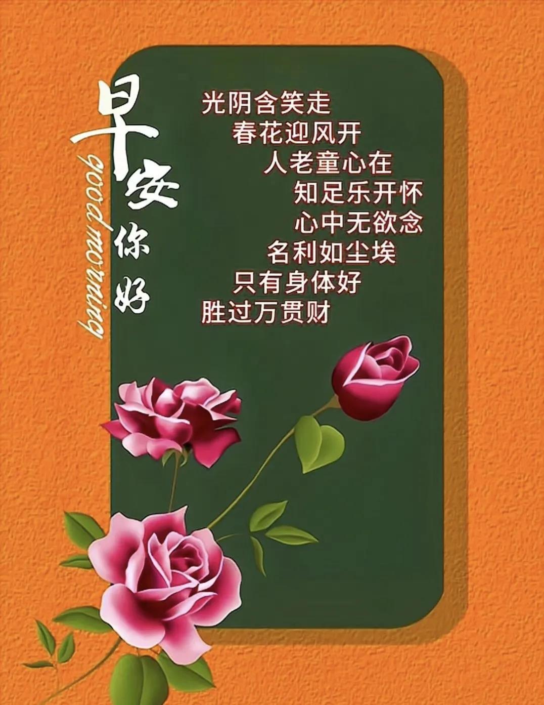 早安问候语图片分享 岁月匆匆又一天, 晨来祝福送身边, 千言万语汇