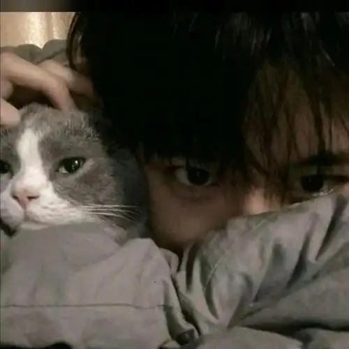 2020最火微信帅气男生头像