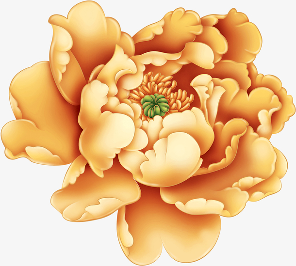 手绘金色牡丹花免抠图
