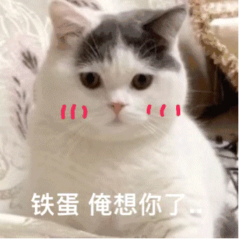 341_341gif 动态图 动图