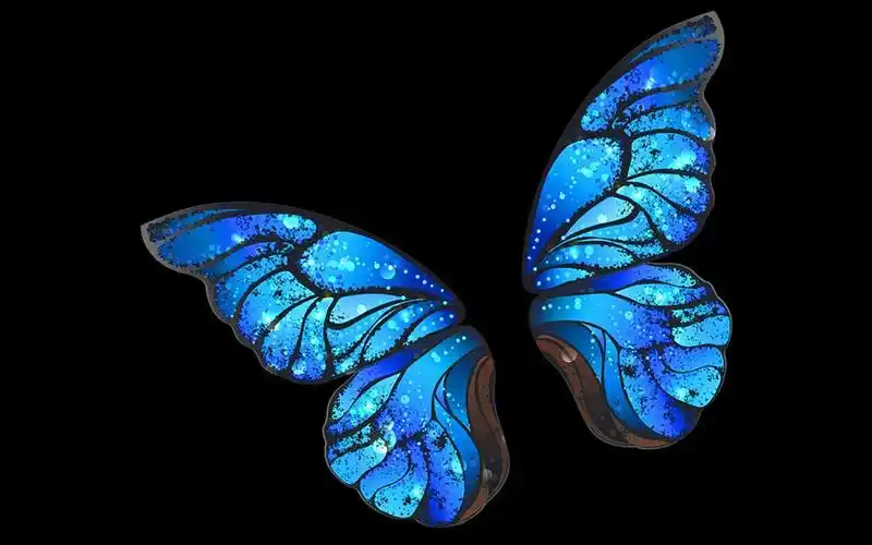 梦幻美丽蝴蝶壁纸_超好看唯美蝴蝶