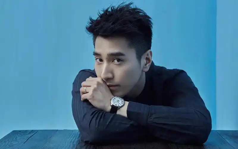 电脑壁纸 明星 大陆明星 帅气百变的赵又廷