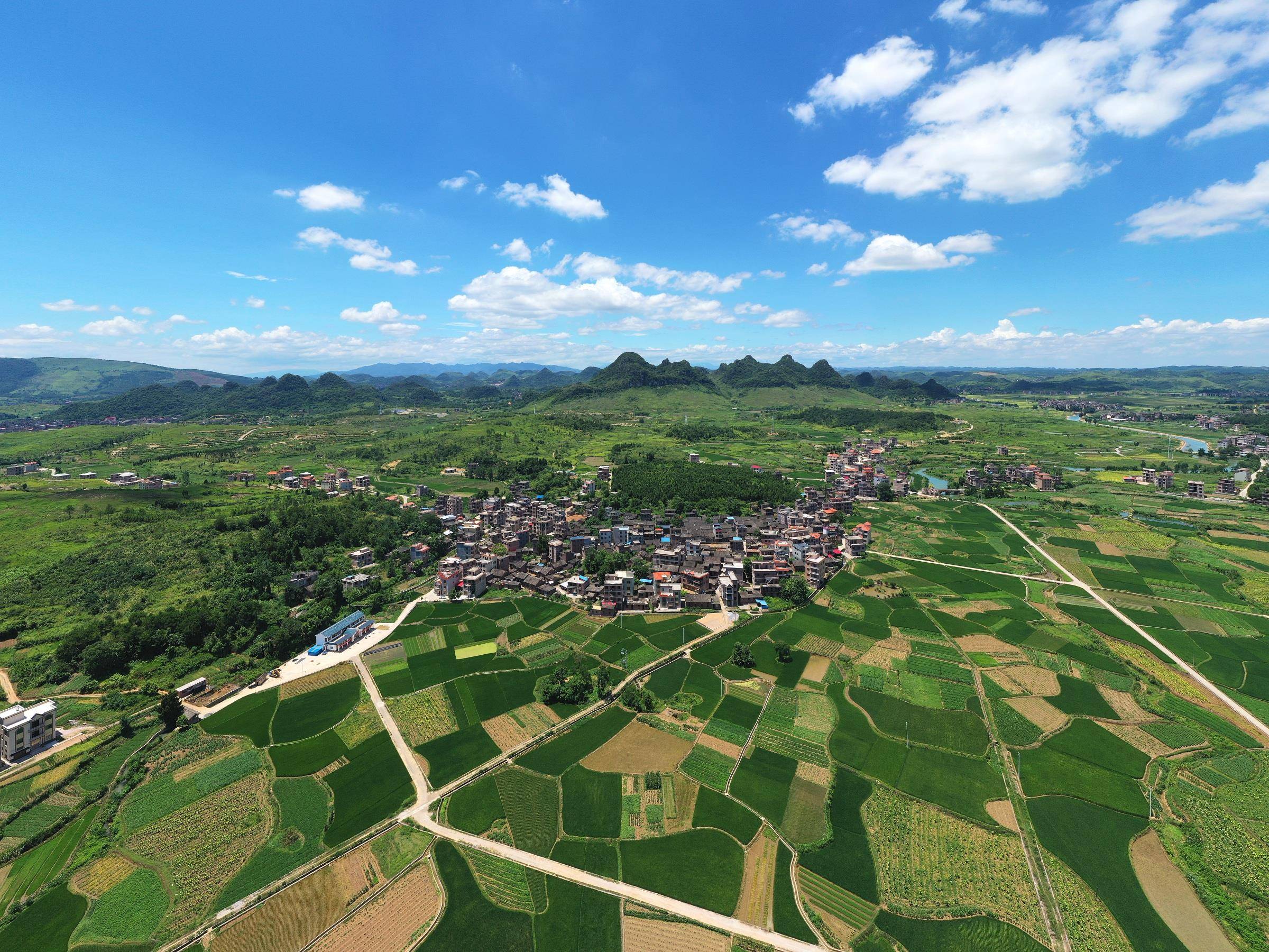 新田兰溪村:盛夏乡村田园风光美