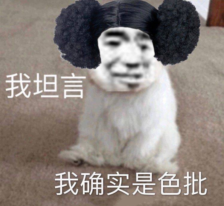 可怜的小老鼠,被生活玩弄于股掌之间 - 表情图片 - 25h.net壁纸库