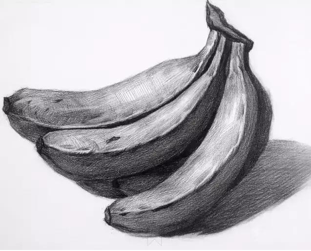 基础素描单个物体